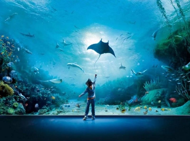 acquario.JPEG